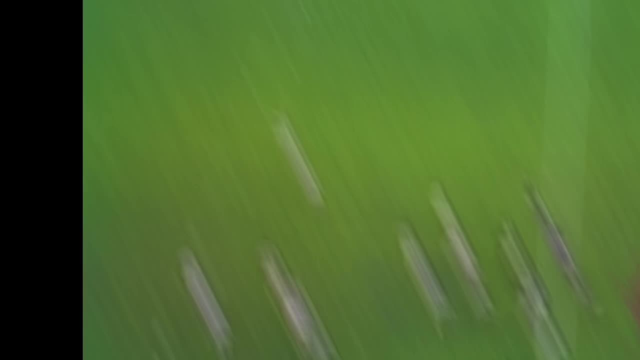 @rugby edits