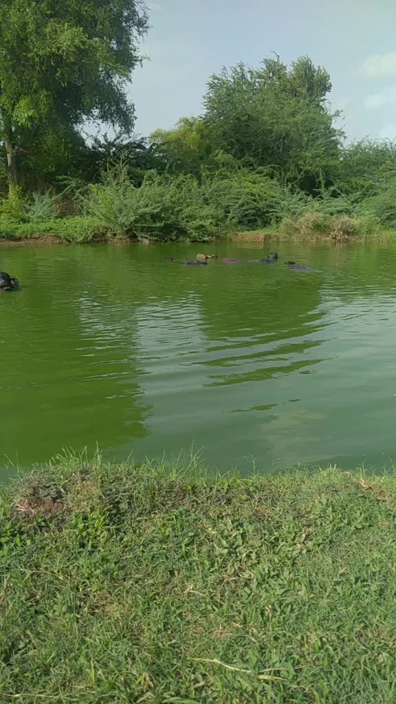 @vishal_aapa_7775