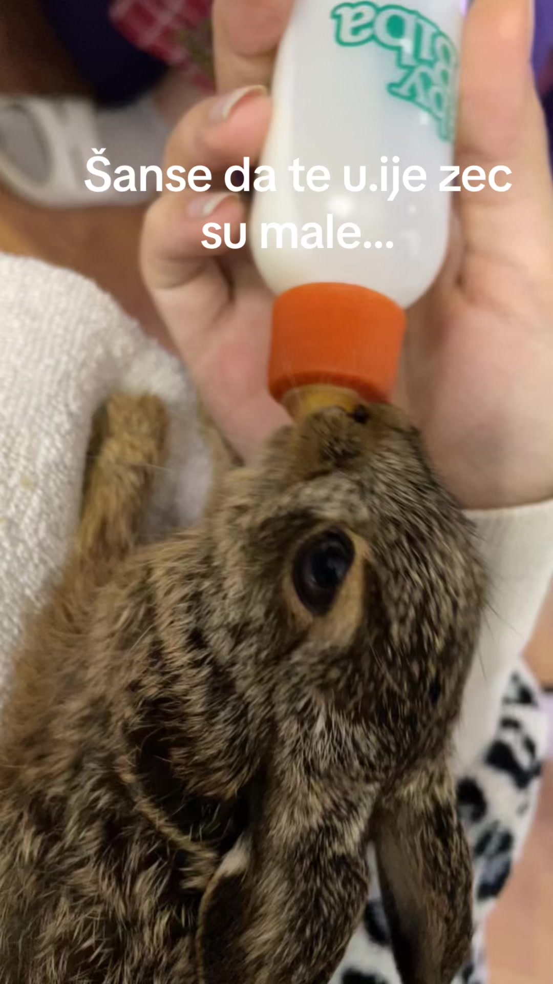 @niuv