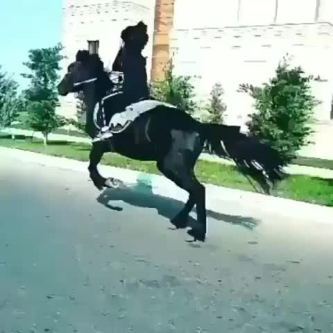 @Samir_Malek