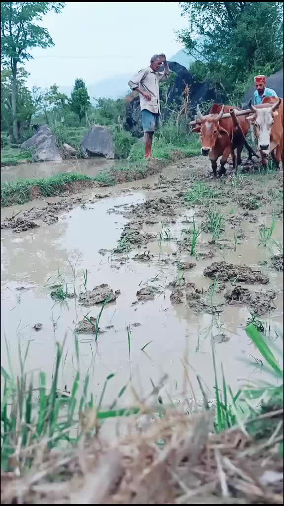 @A Kãy Lãlhãl