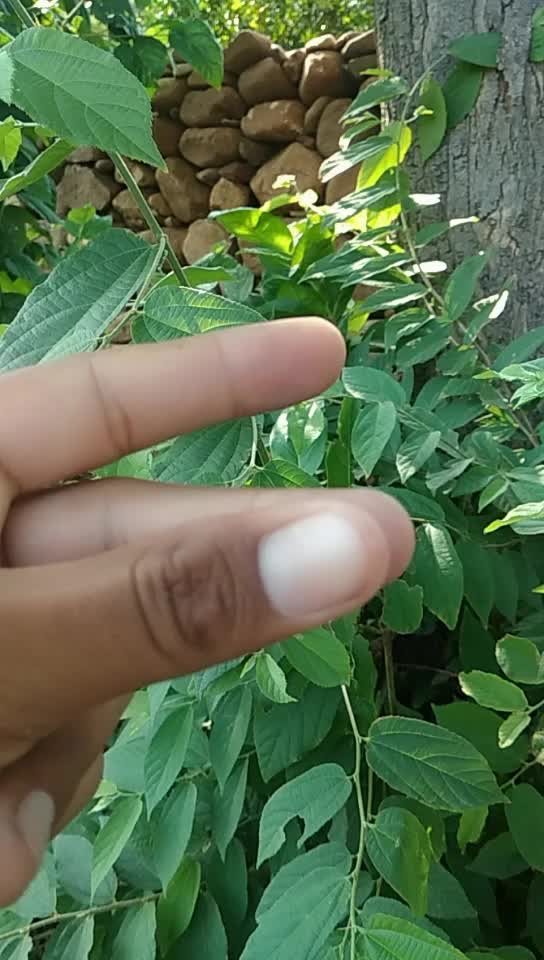 @VikramSherawat5567