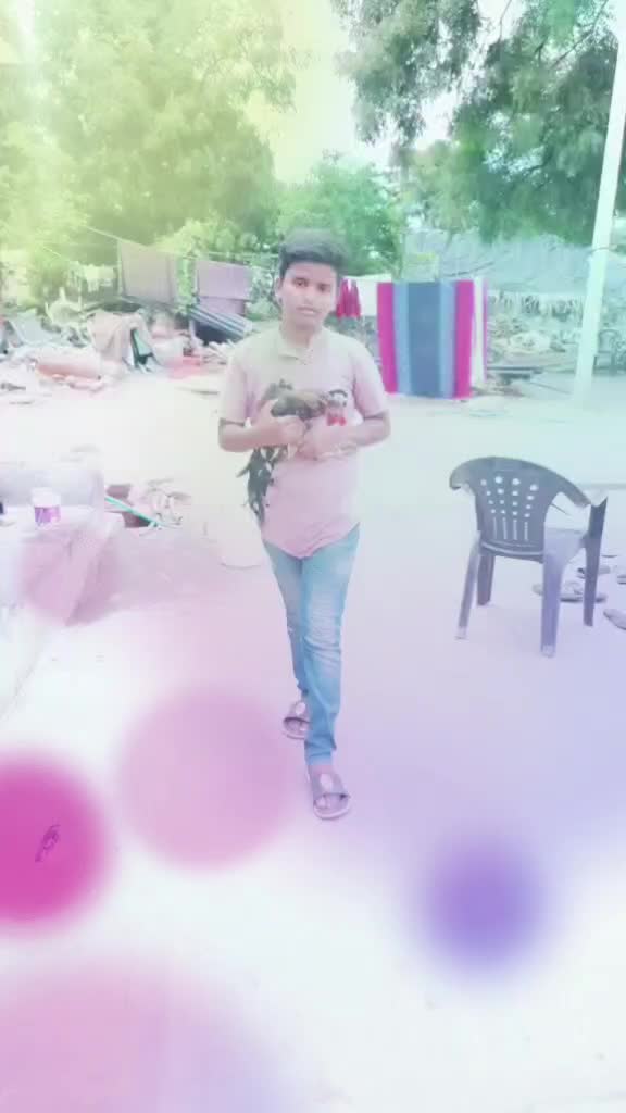 @user7962974384308