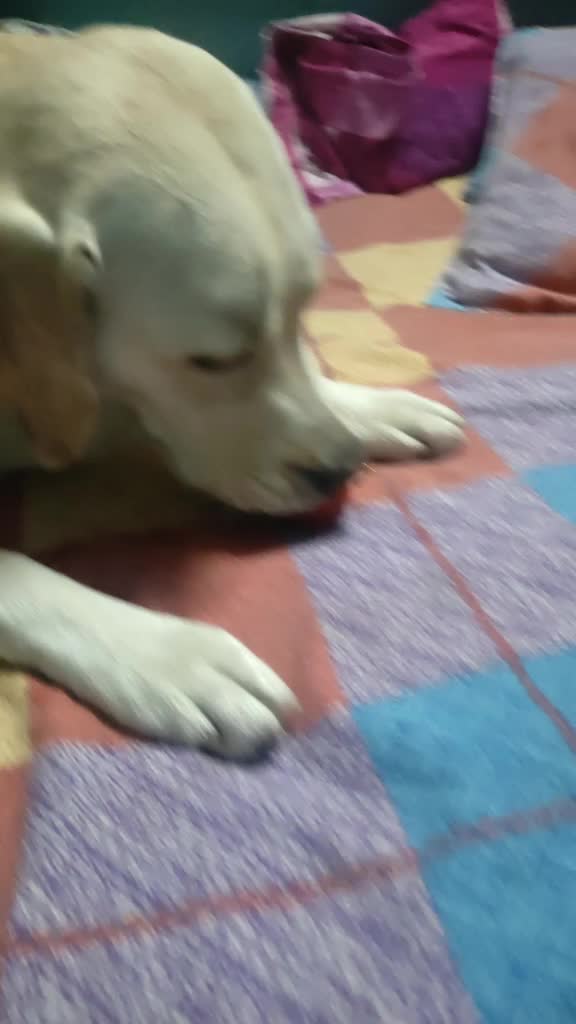 @Pranav Kumar