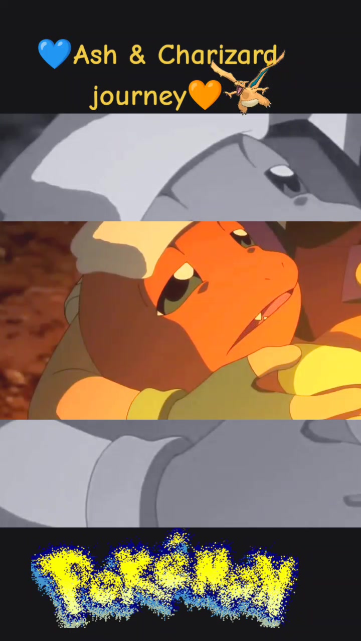 @pokédonog