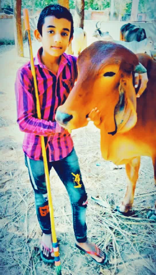 @user2166899623678