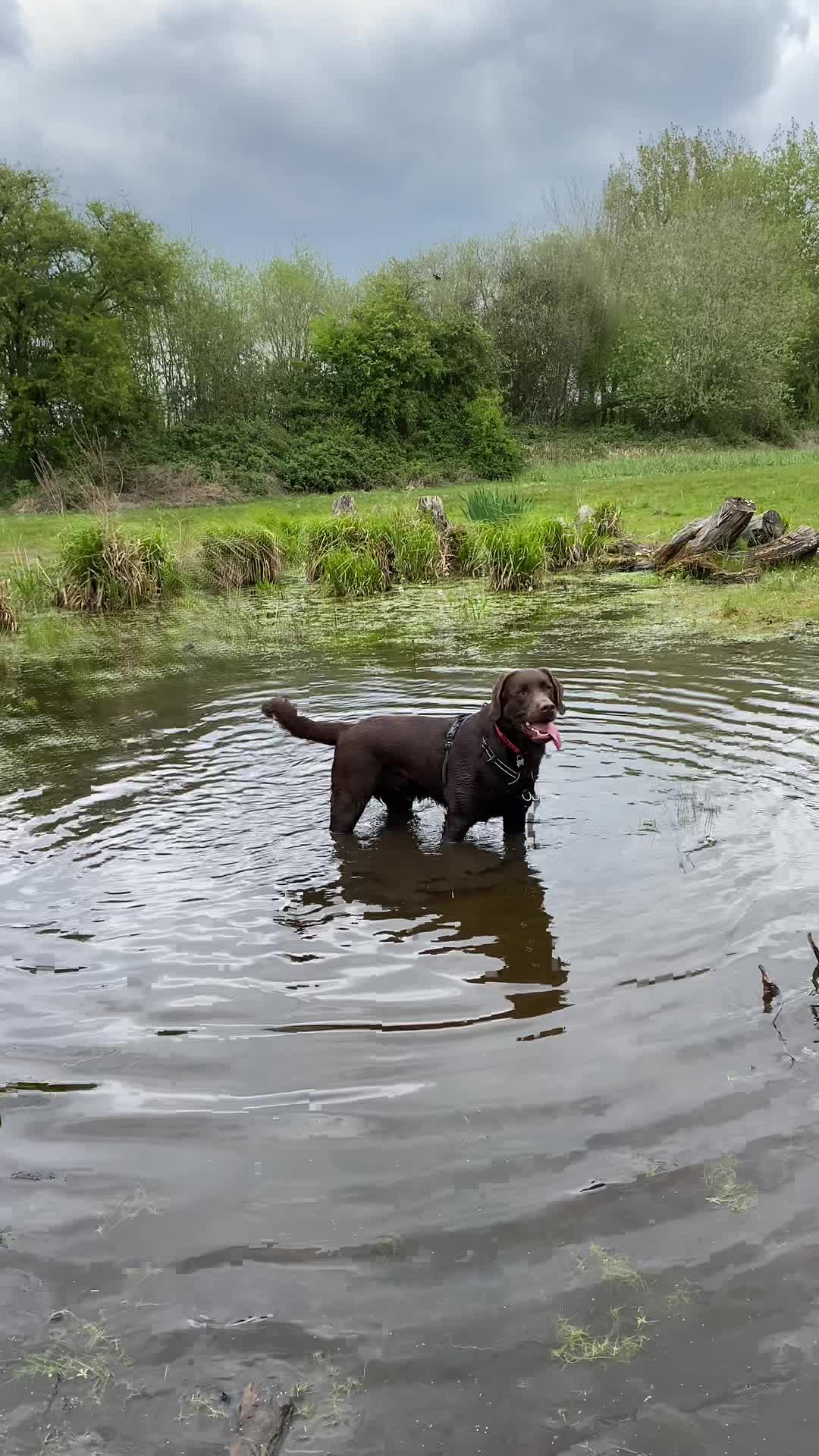 @🐾 𝑻𝒆𝒅𝒅𝒚🐾