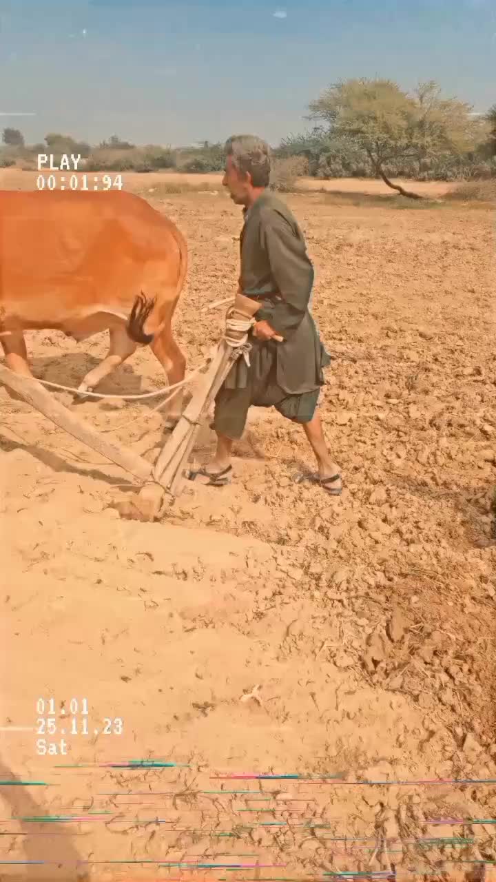 @NADEEM HAMLANI