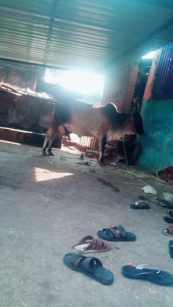 @vijaybheabharvad