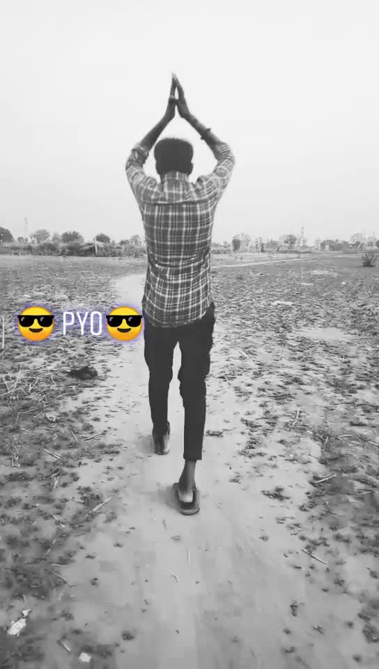 @Roniy Yaar