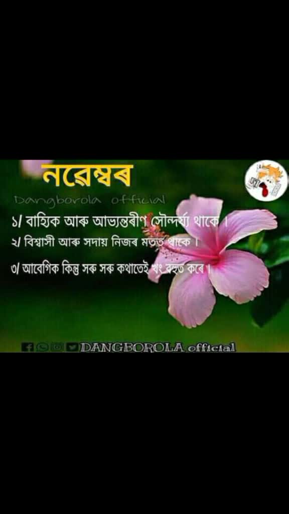 @Angel Dipika Sarmah