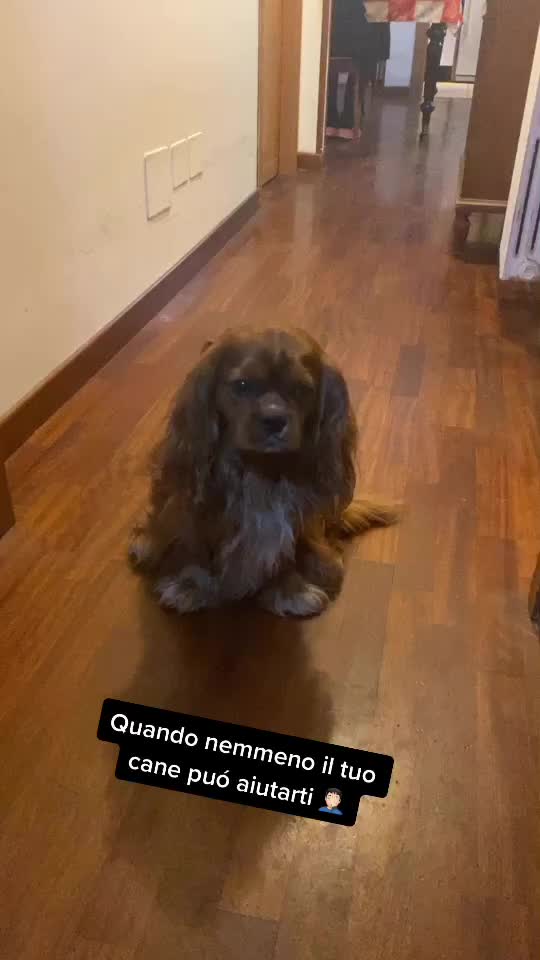 @Gabriele Longhi