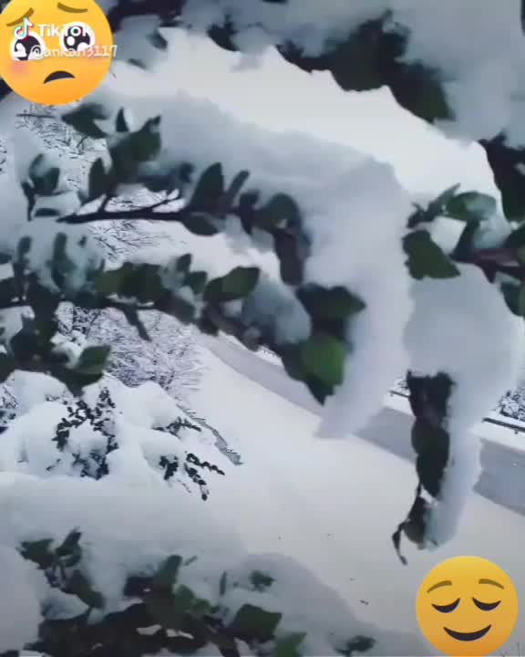 @অঙ্কন♥️পাপিয়া