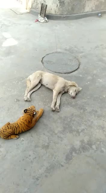 @chetan_prajapati4447