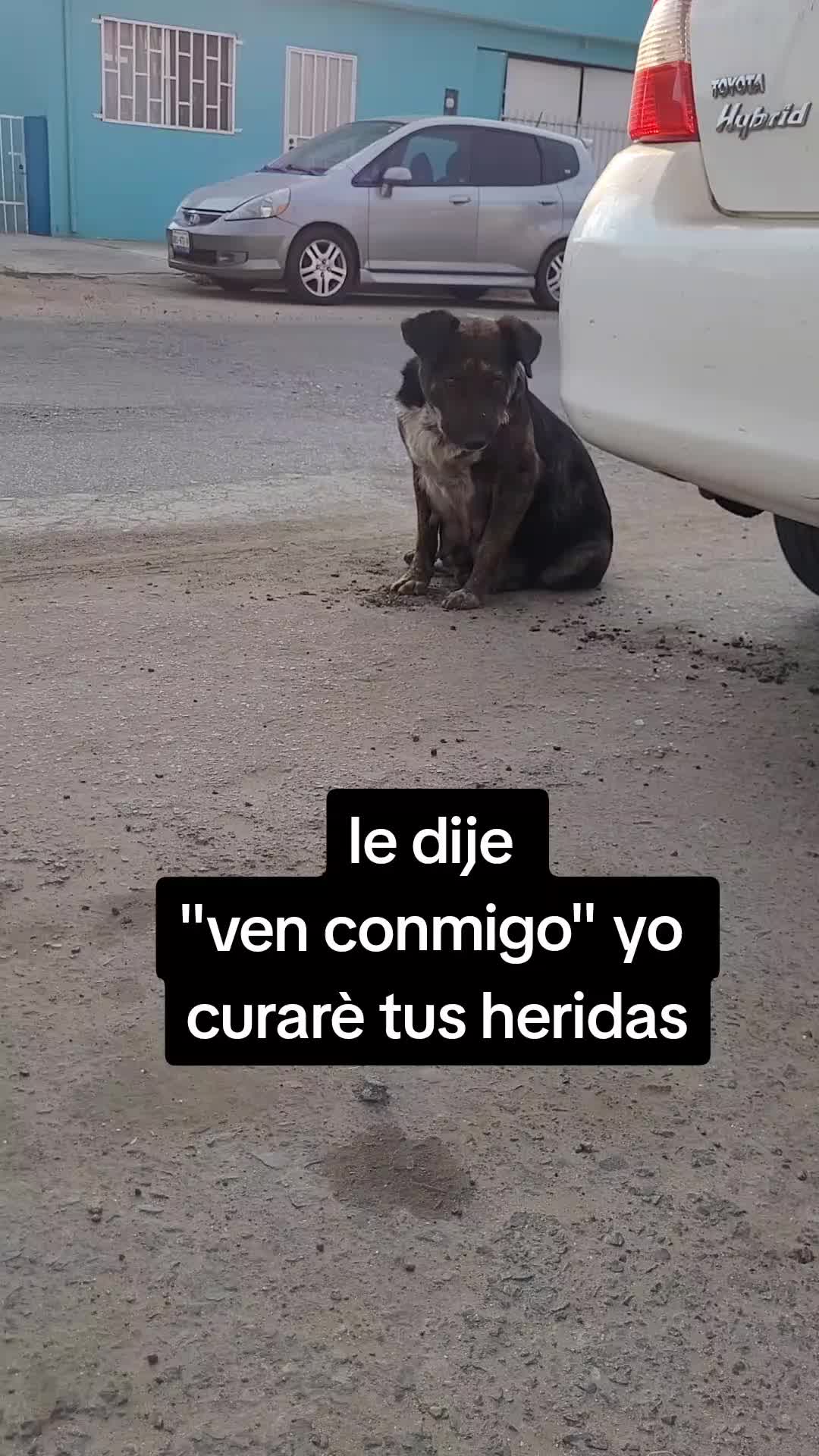 @Gloria Arellano Ramirez