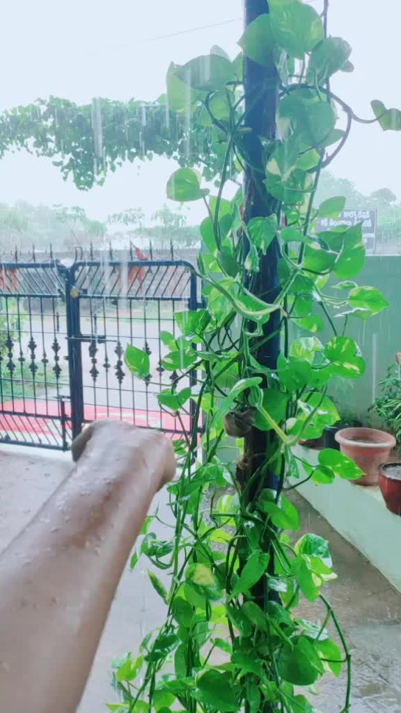 @srikarishetty