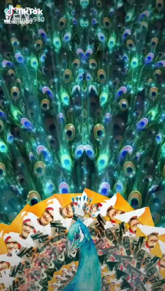 @Bhanu garikapati