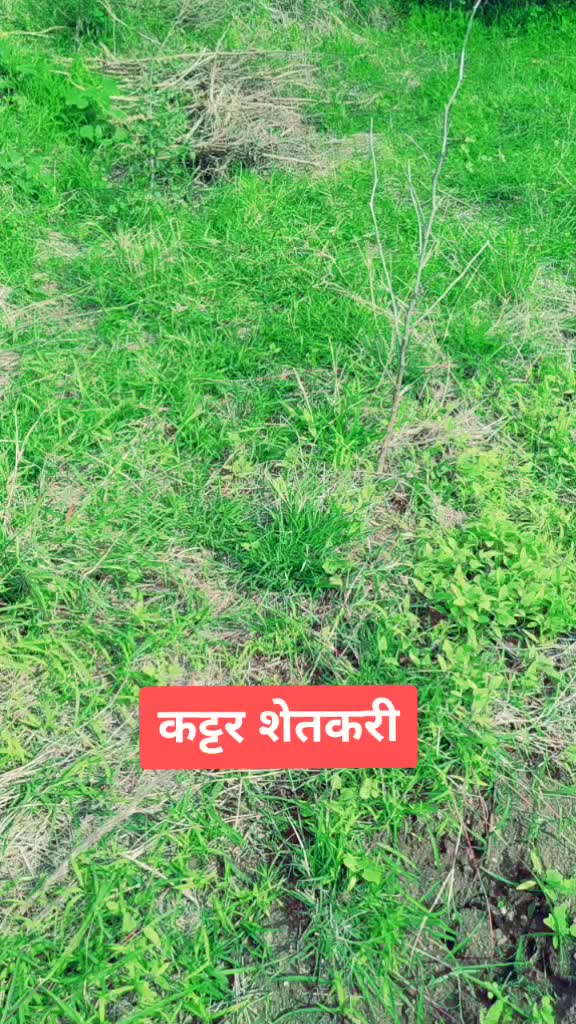 @शेतकरी ज्ञानेश्वर