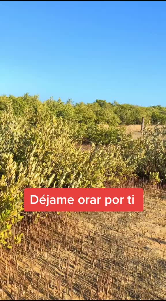 @Gregory Cabrera oficial
