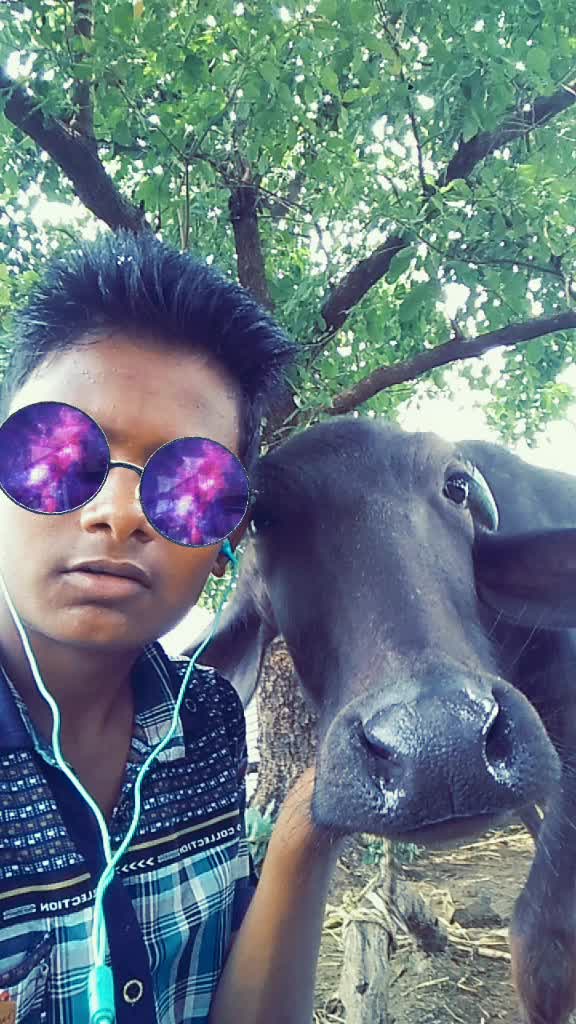 @dnyaneshwar.bhange