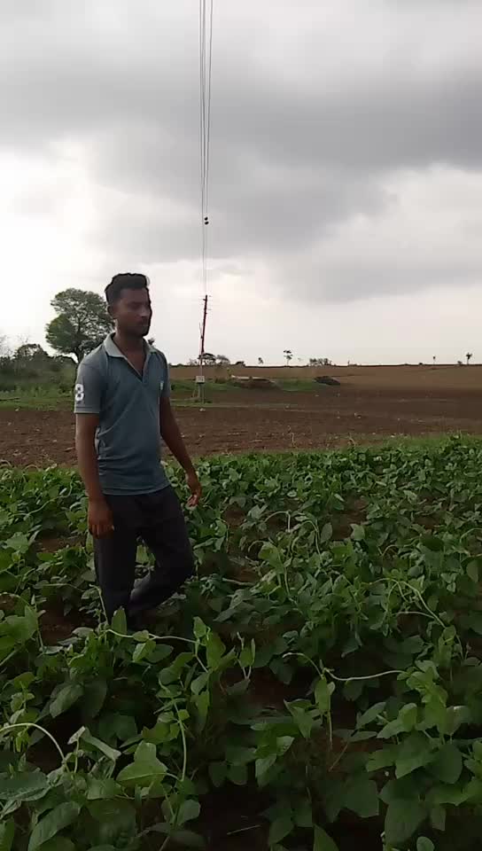 @Romil Ade255