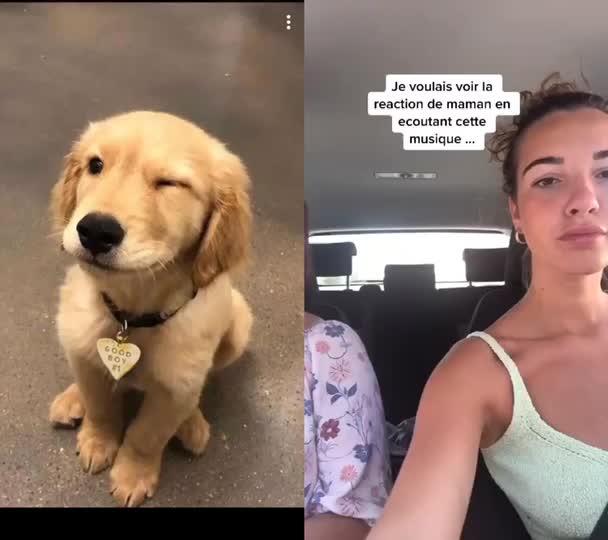 @jesuisunchienlol