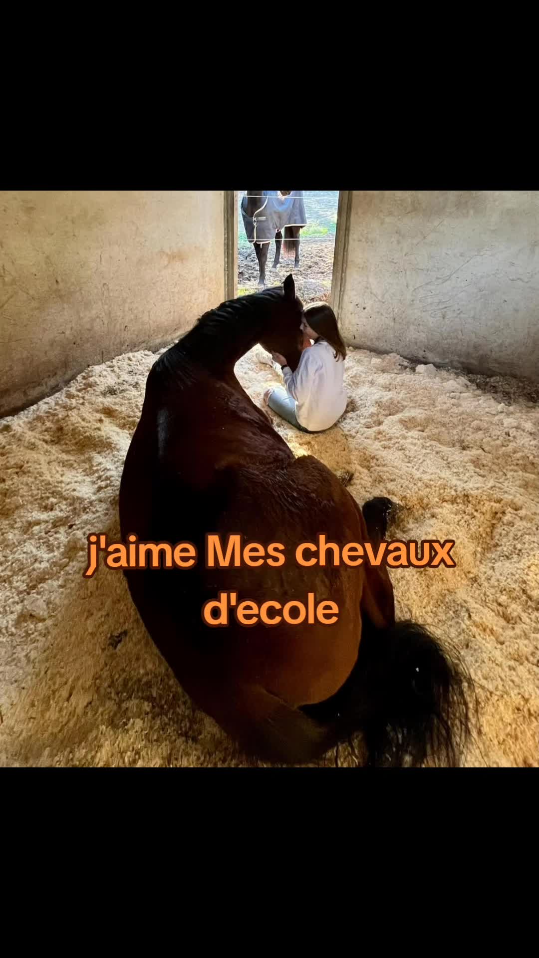 @haras de castille