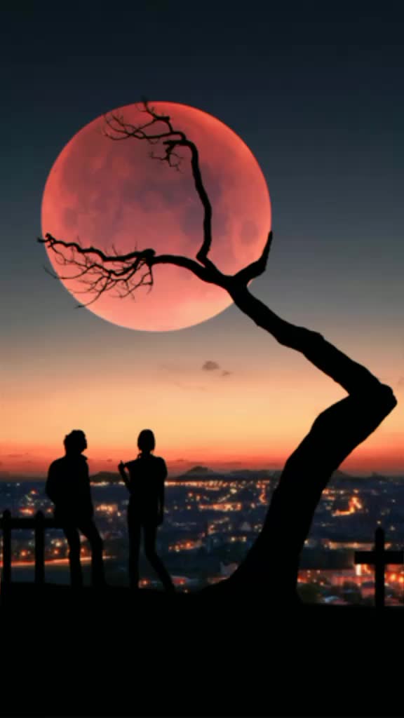 @shehbazali7700