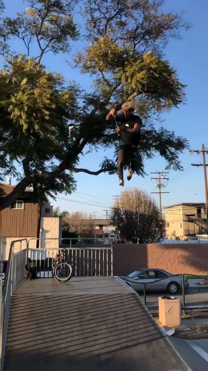 @dejiontaylor