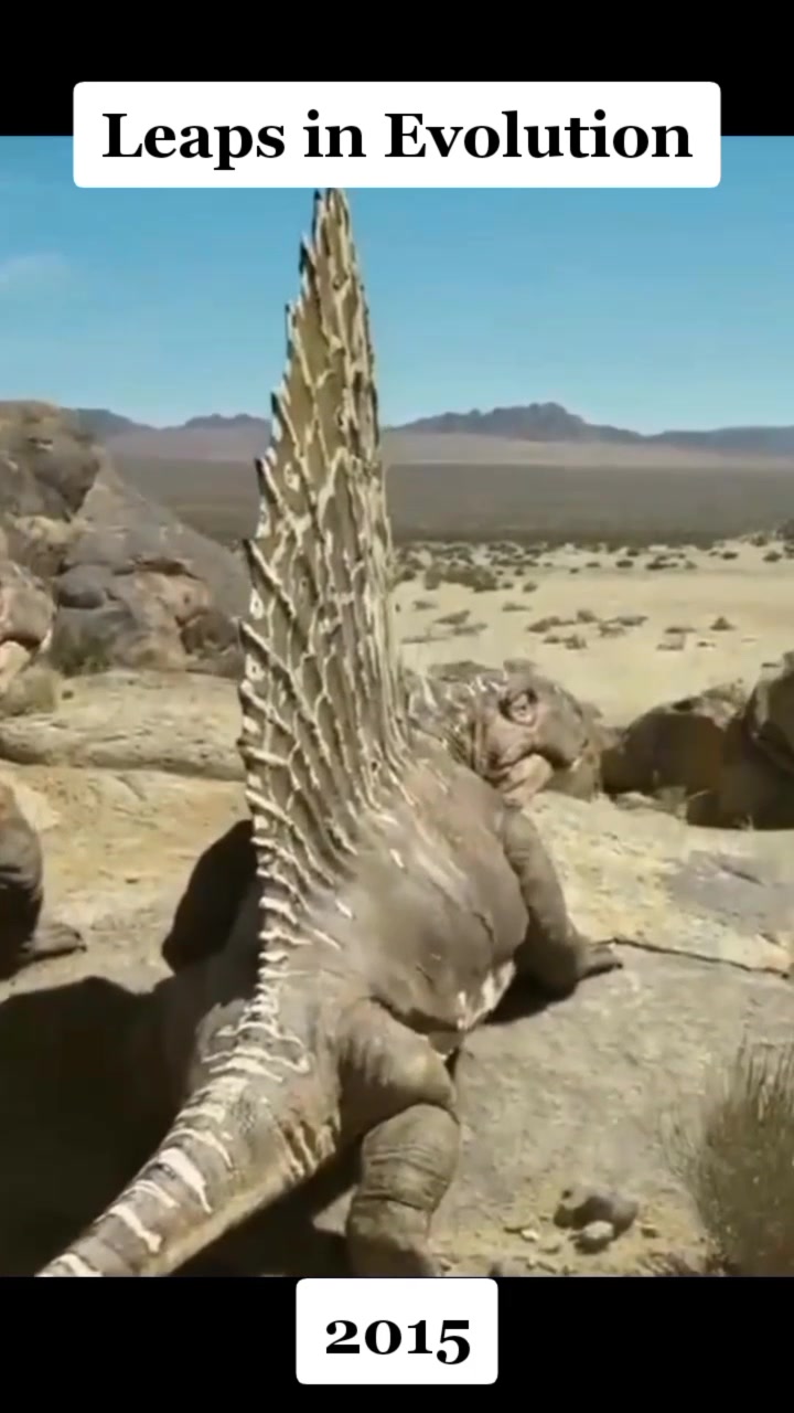 @Indoraptor