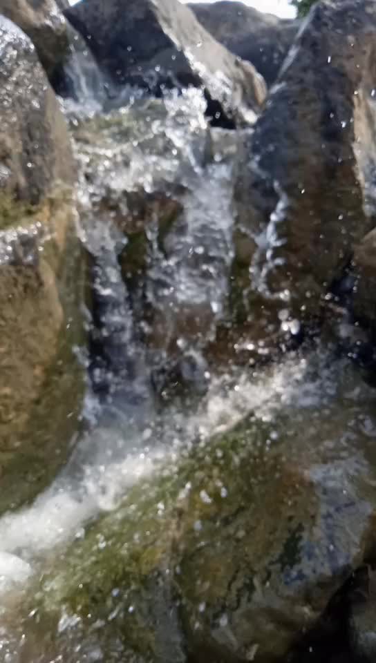 @user7743796863156