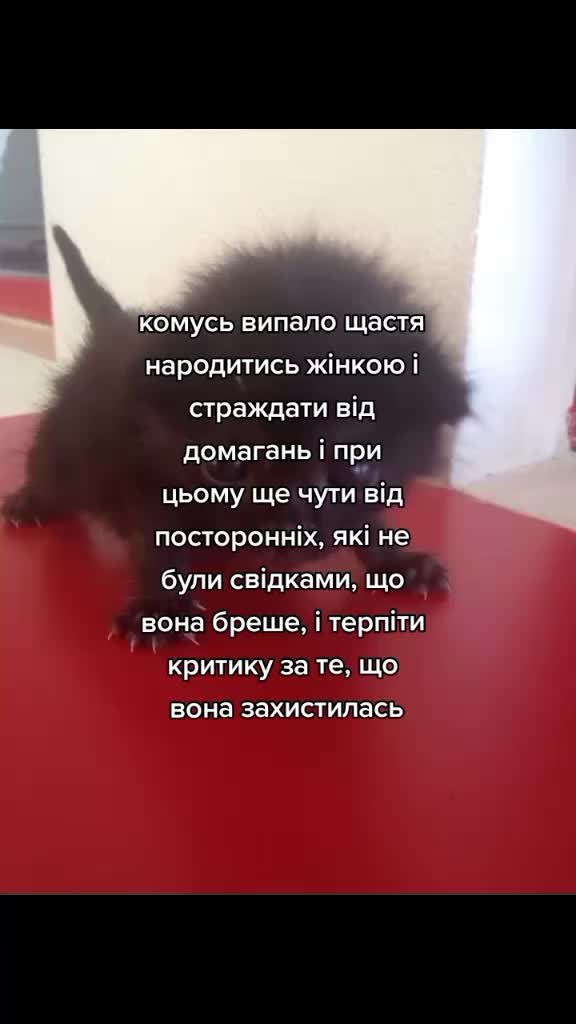 @:(