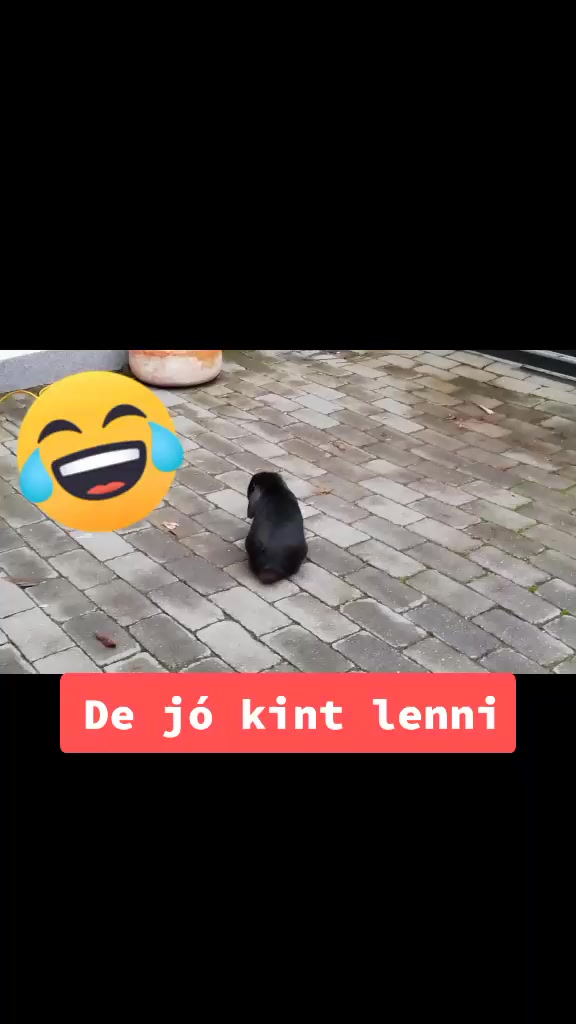 @Szutyok