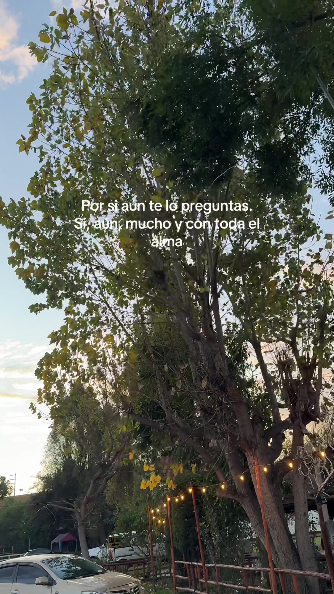 @diello.herreraa