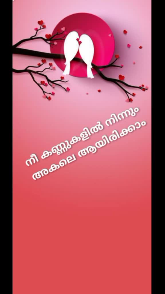 @Shamna Shafeeq