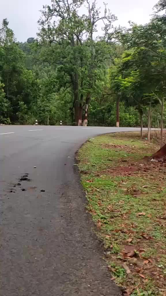@Raj Kumar