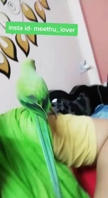 @Muskan Rajpoot