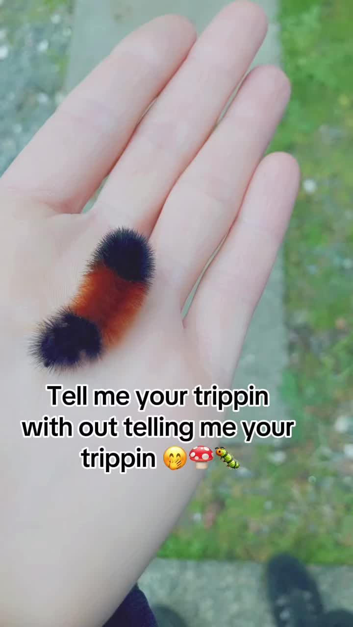 @lil.subawuu