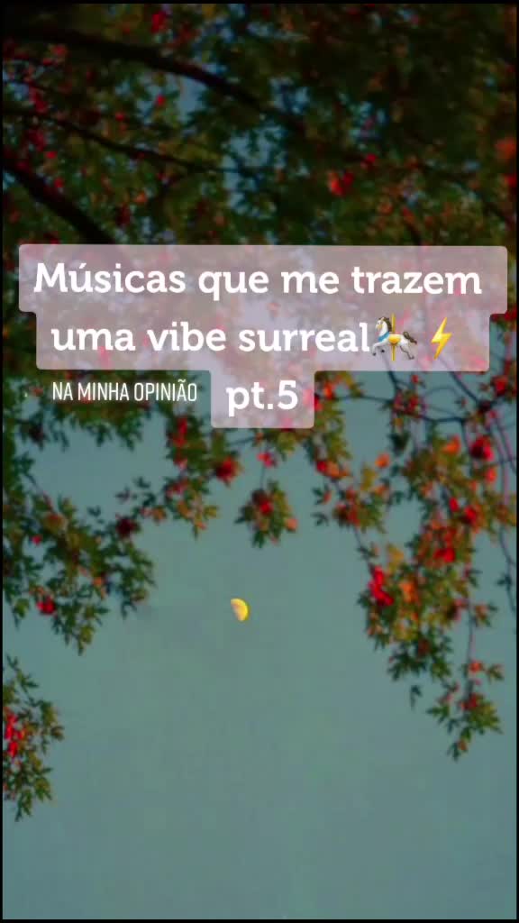 @isa.moon