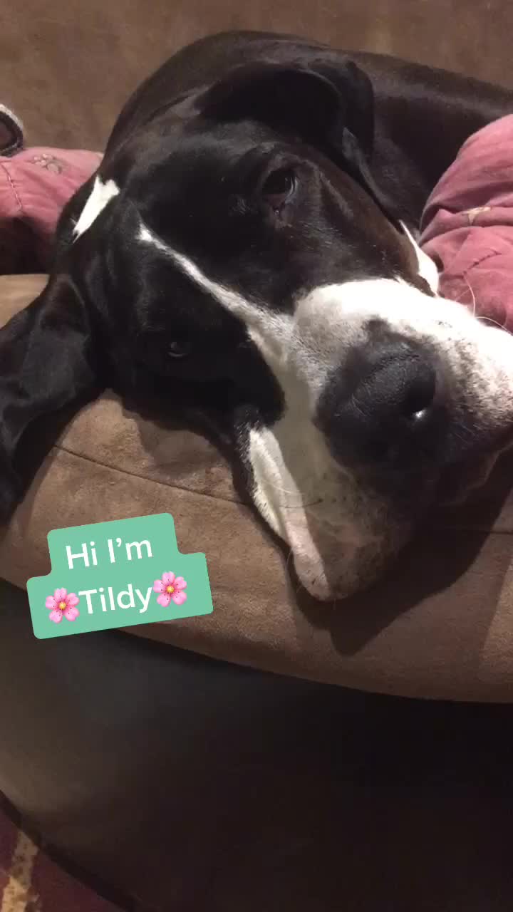 @Tildy