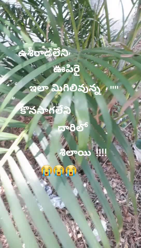 @sri