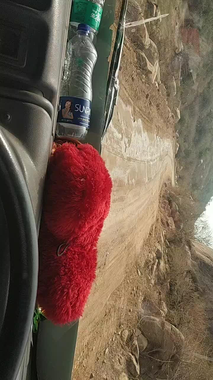 @user8441784839281