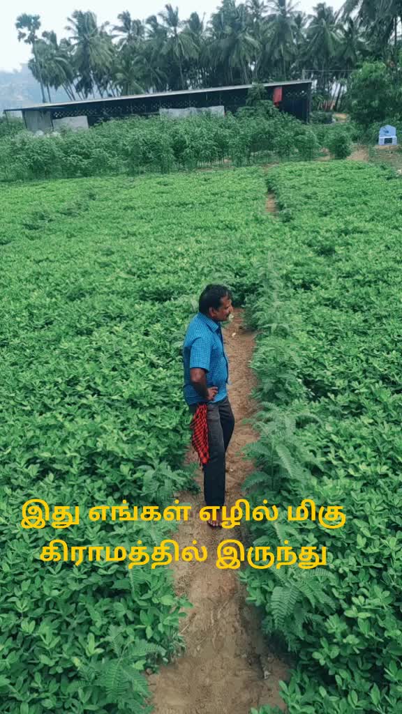 @நெல்லை தங்கராஜ்