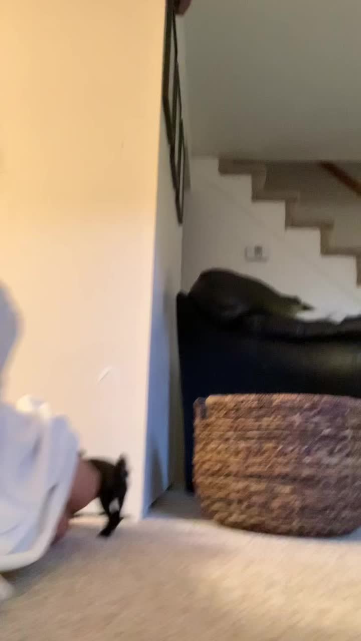 @becky