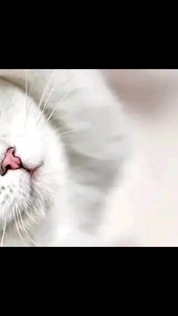 @cute_babbu.. priyu🥰