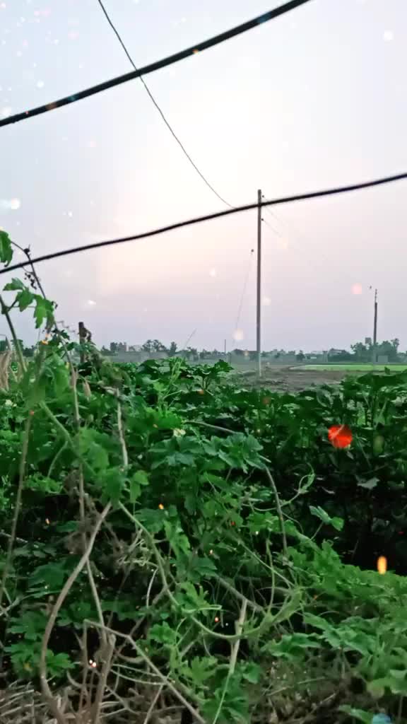 @Ravi Kamboj407