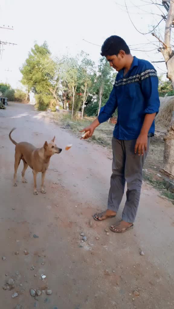 @Anbu Saran