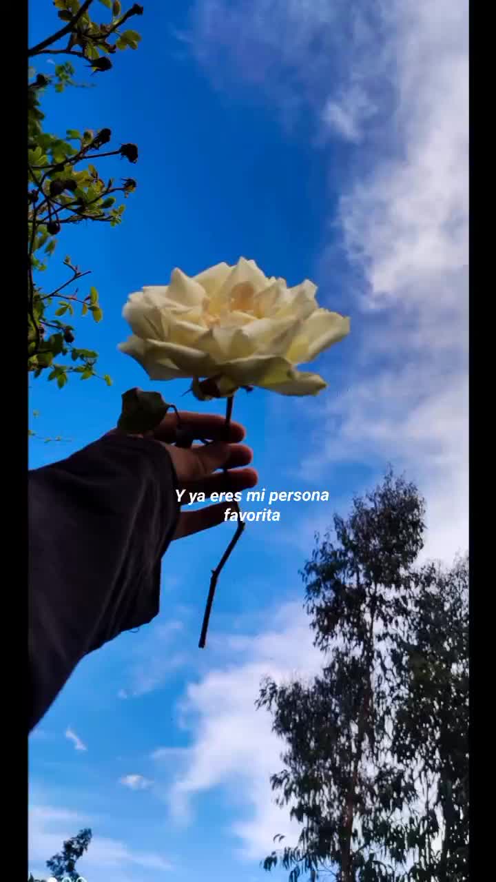 @Yessica