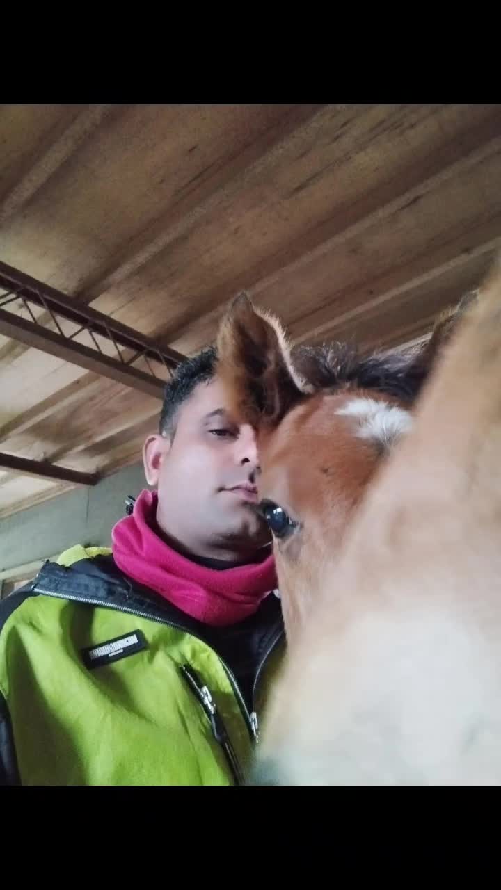 @chatar Singh rathore🇮🇳🇮🇳