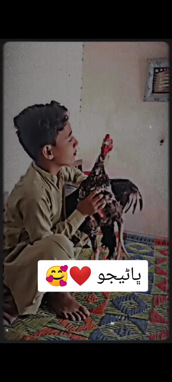 @Ali Arain